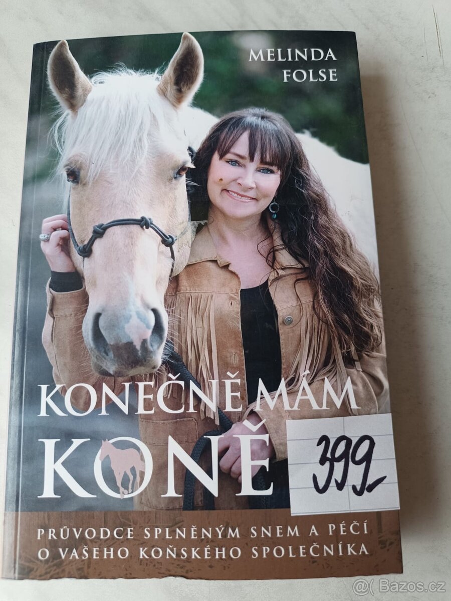 Koně ježdění westernové ježdění péče