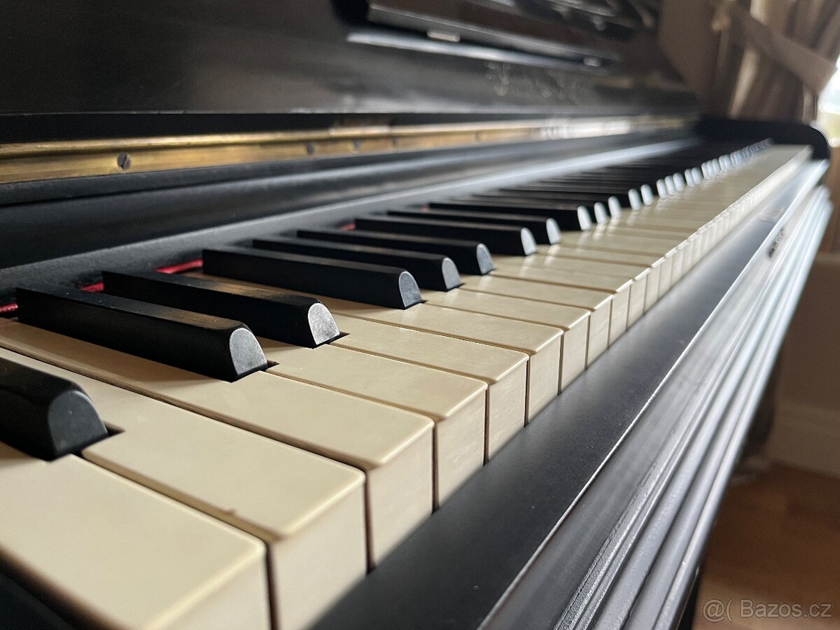 Piano Koch & Korselt