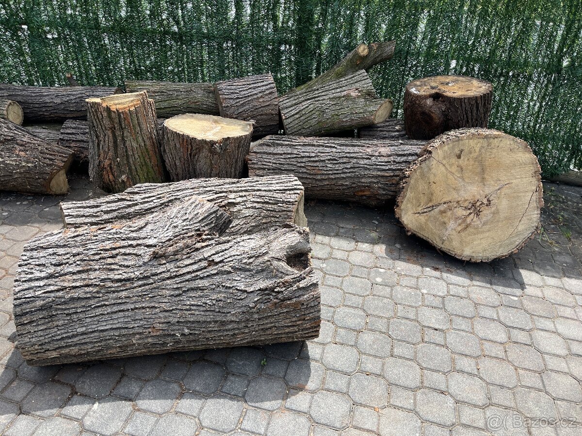 Dřevo z lípy
