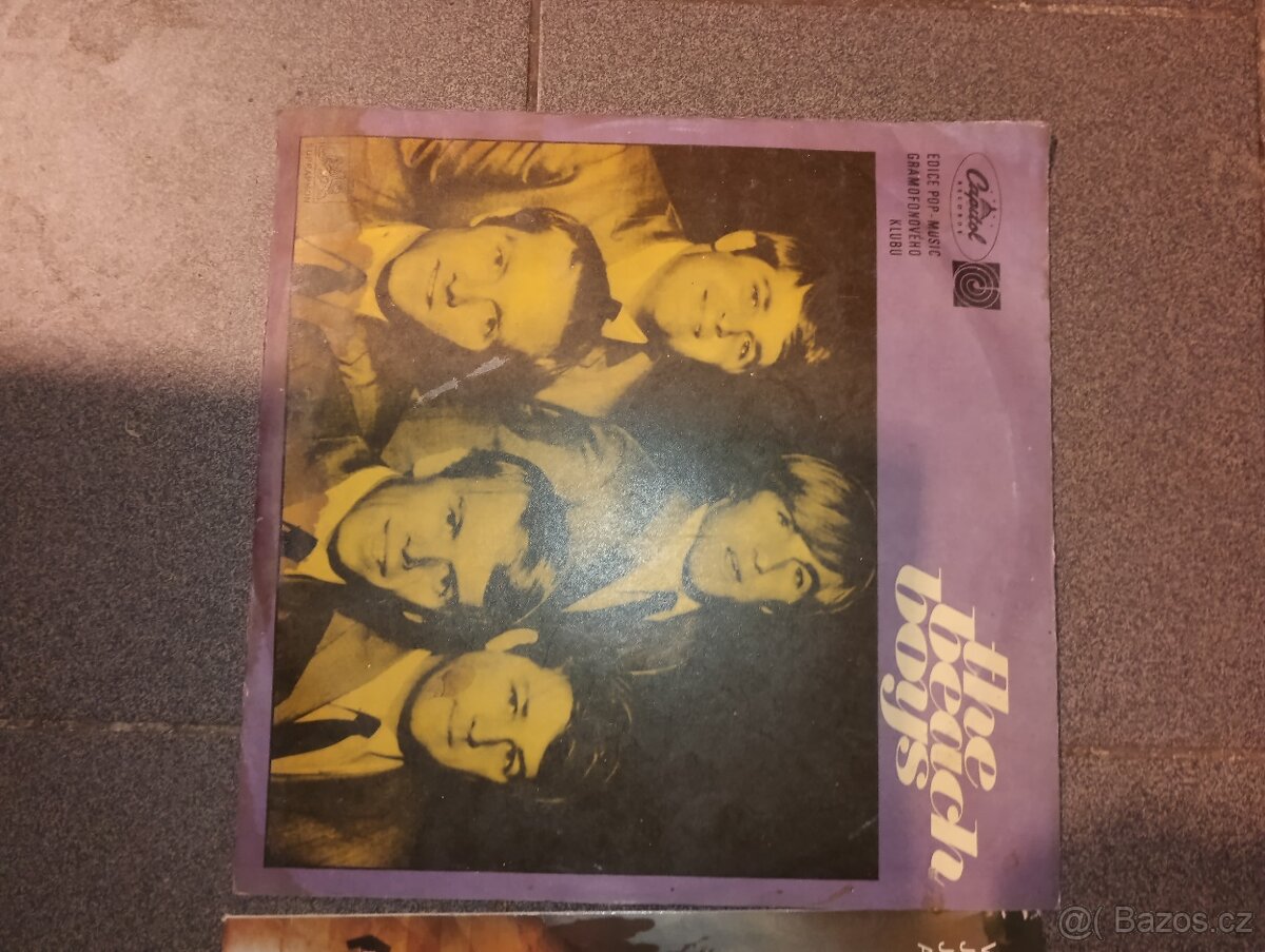The Beach boys