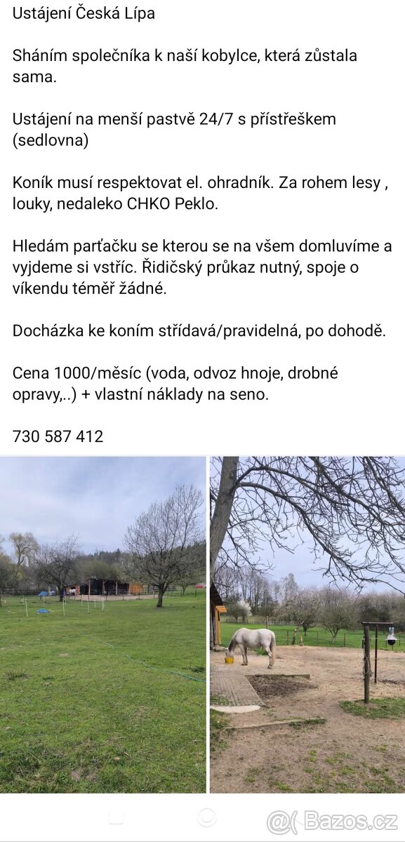 Ustájení Česká Lípa