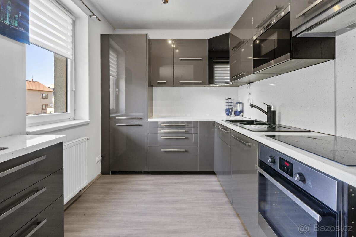 Prodej bytu 2+kk, 74 m2, Plzeň, ul. U Velkého rybníka