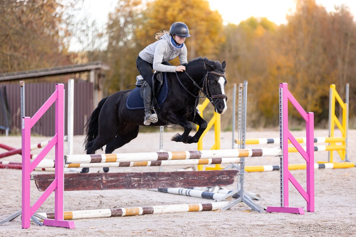 pony klisna do sportu