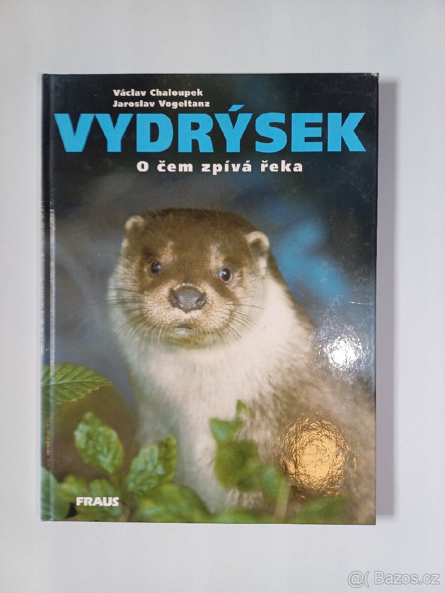 Vydrýsek : o čem zpívá řeka