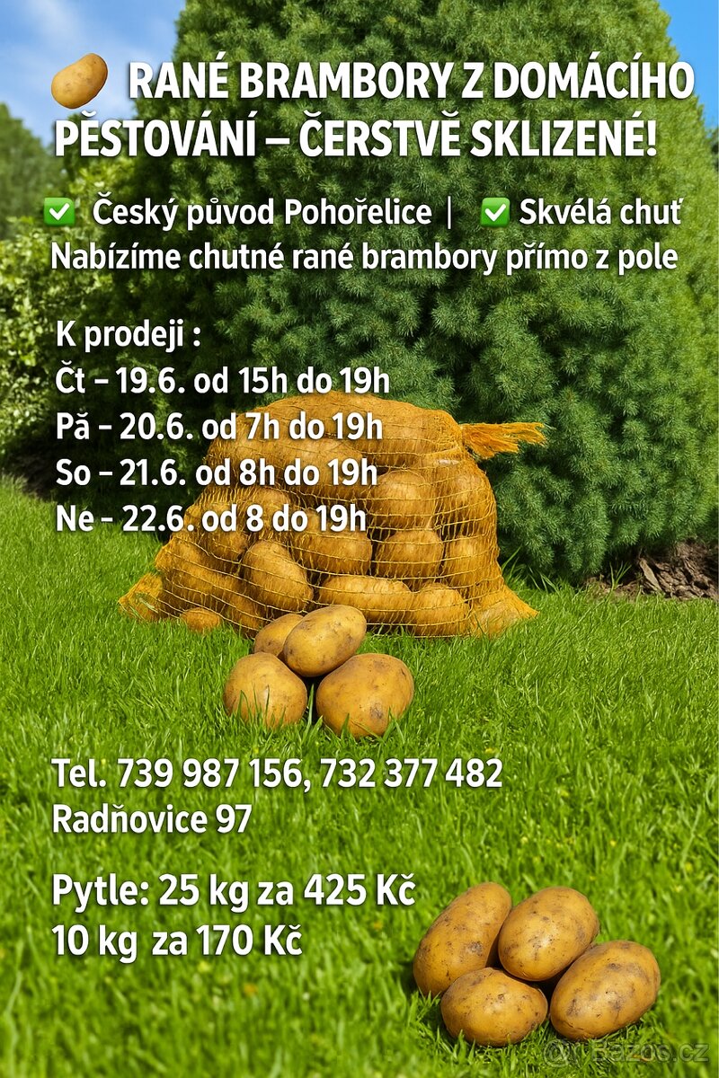 Rane Brambory Radňovice