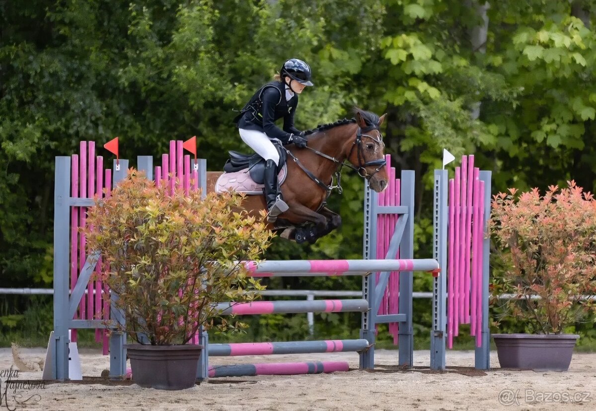 Pony B do sportu
