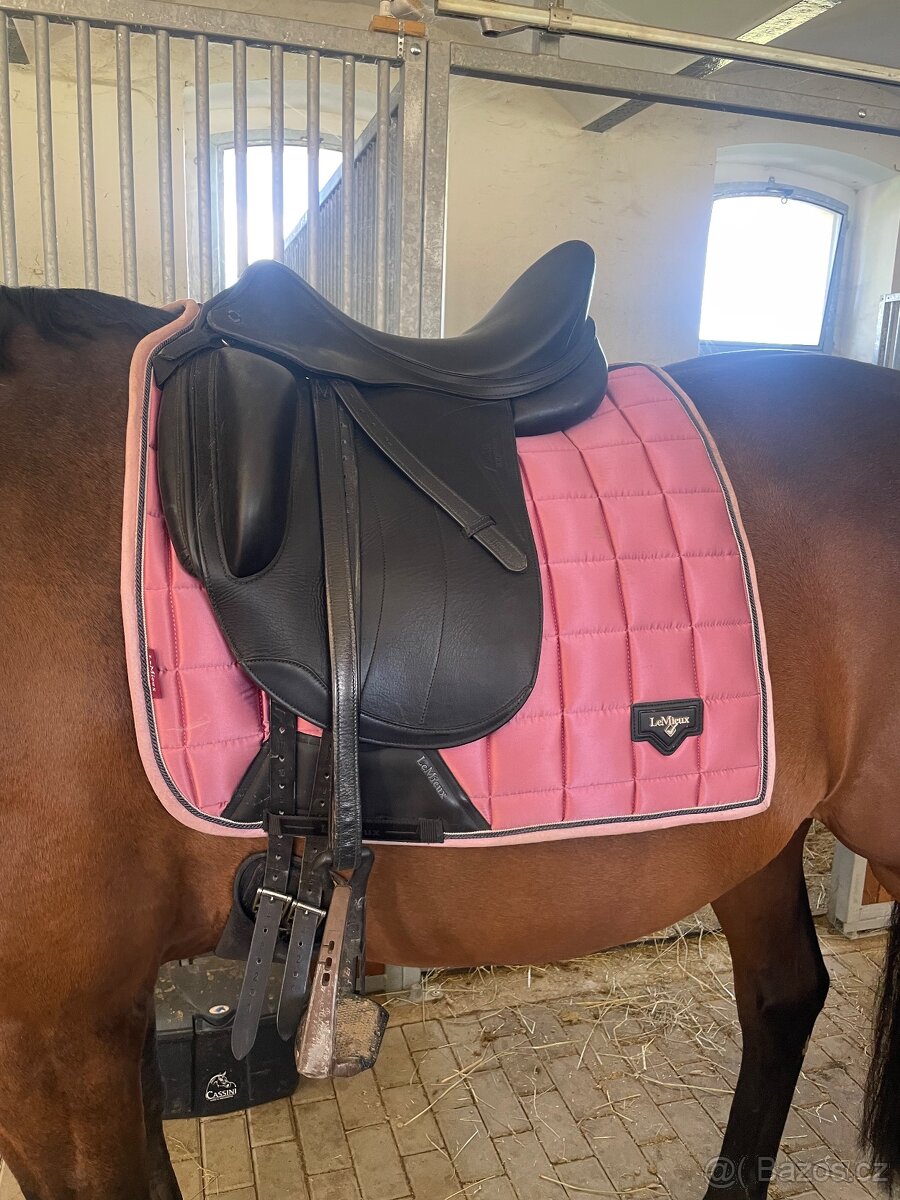 Drezurní sedlo Equiline