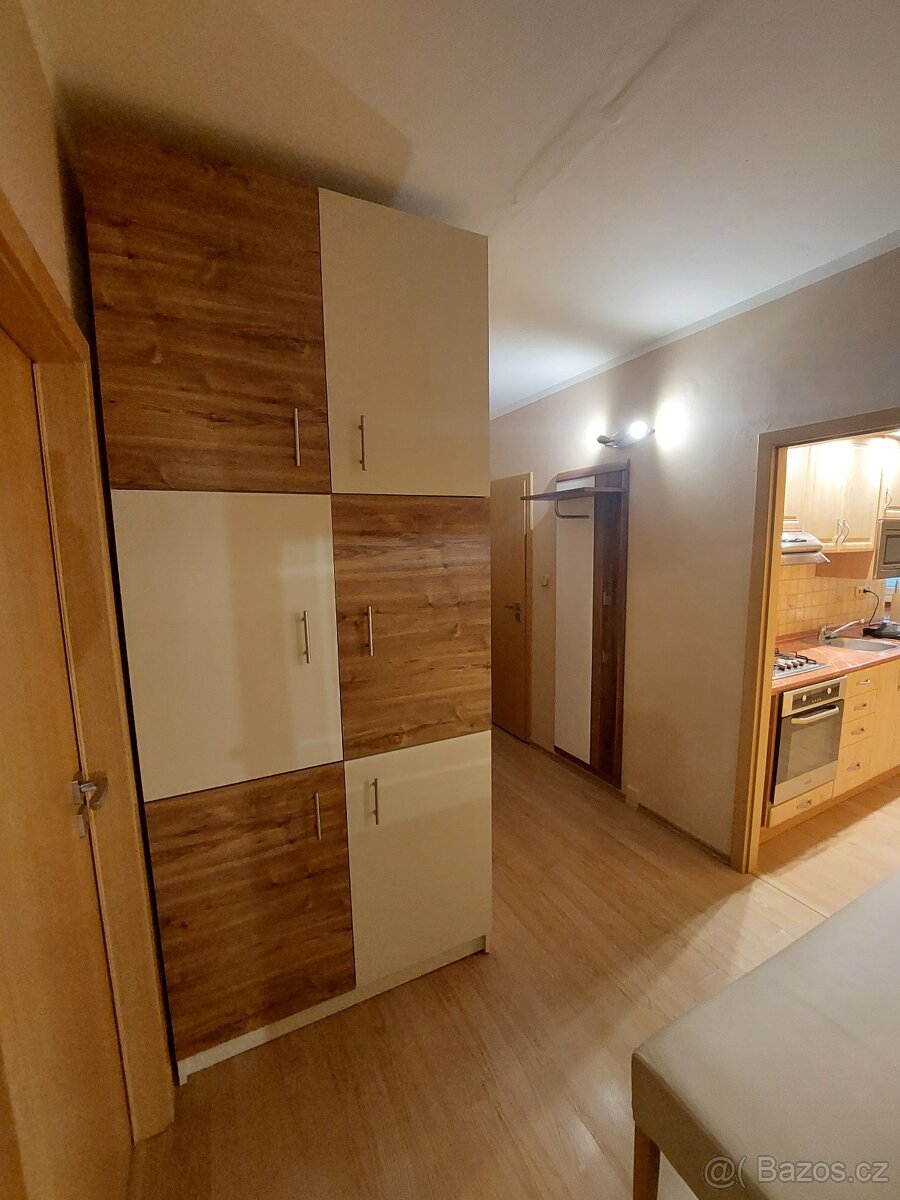 Dlouhodobý pronájem bytu 2+1 60m² Meziboří