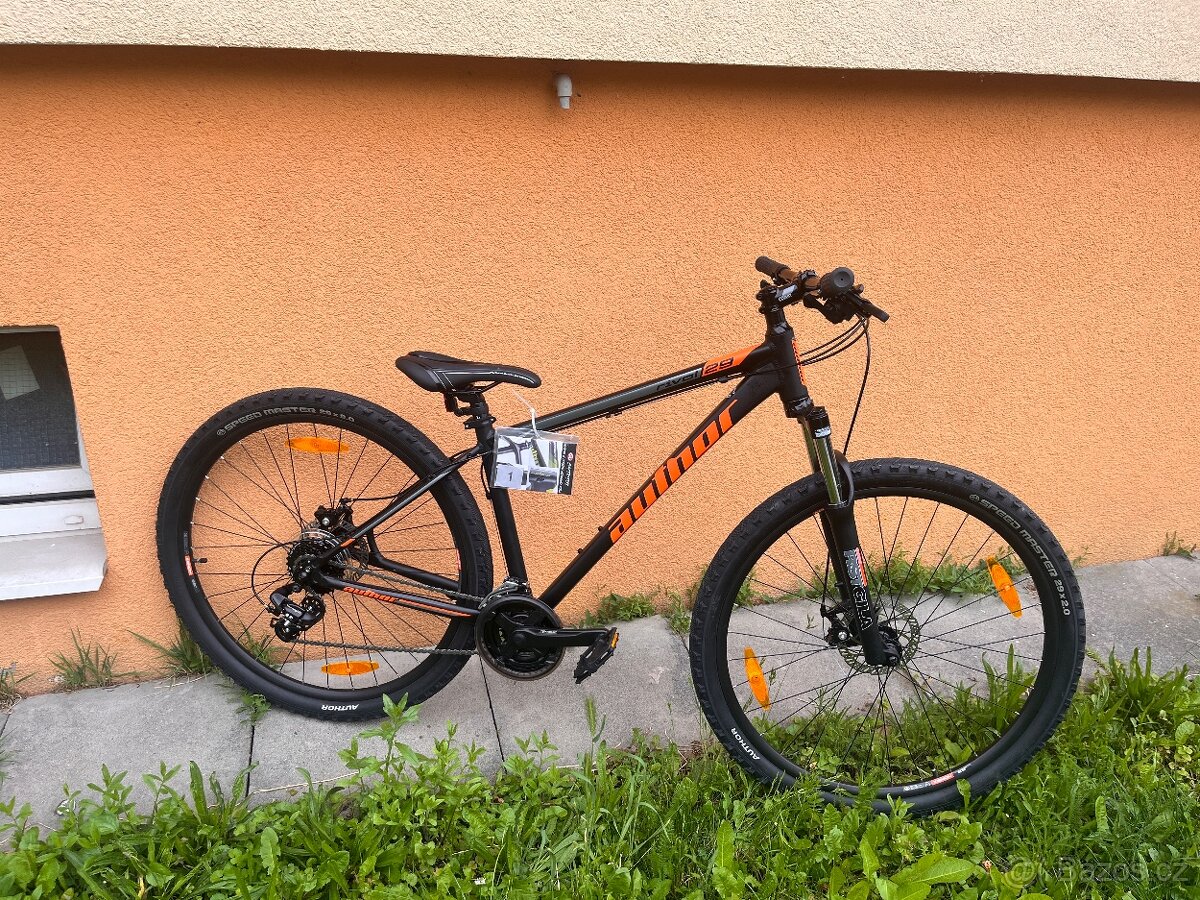 Author Rival 29