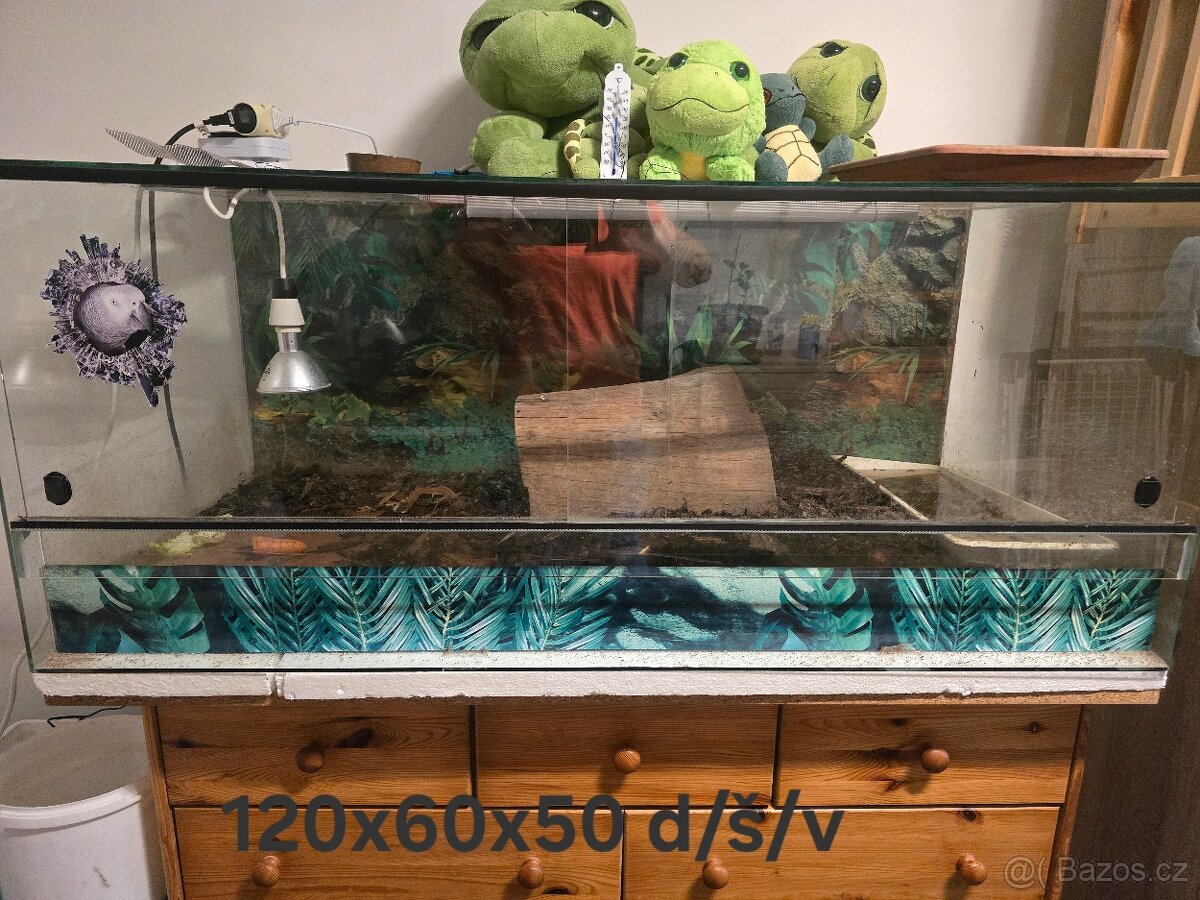 Terárium 120x60x50