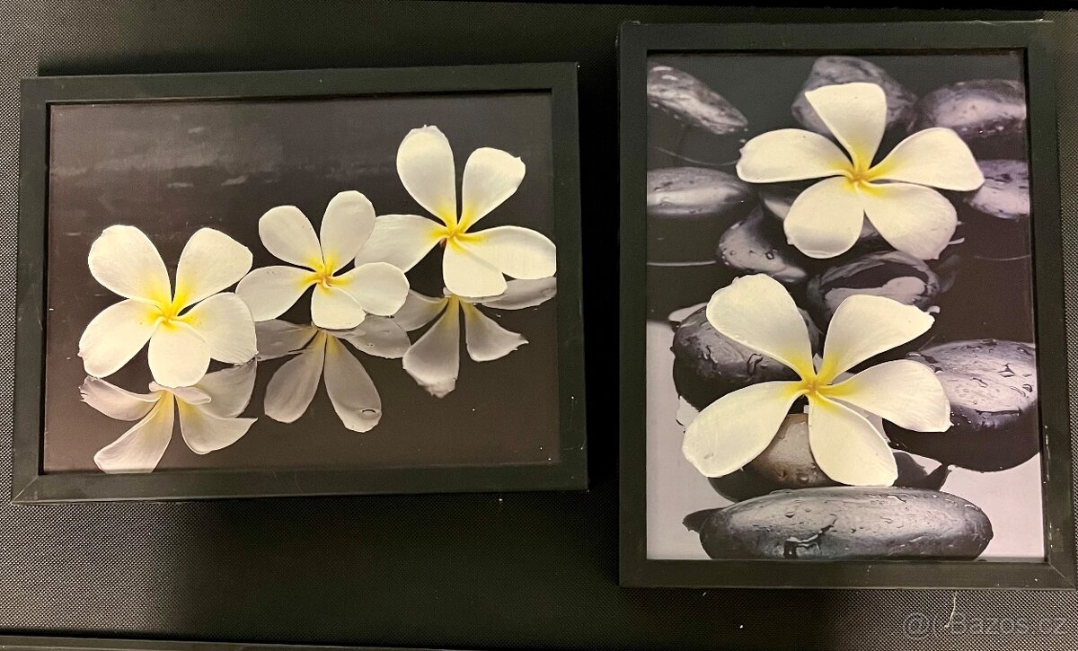 Obrazy květy
