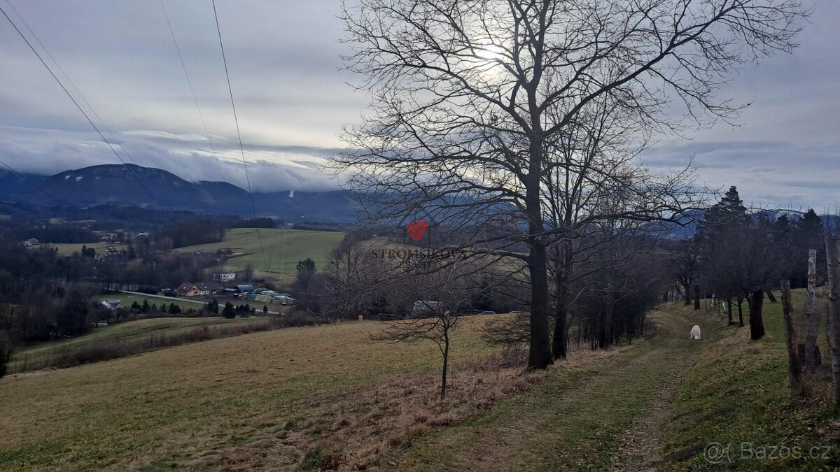Prodej pozemků, Tichá, 17 986 m2