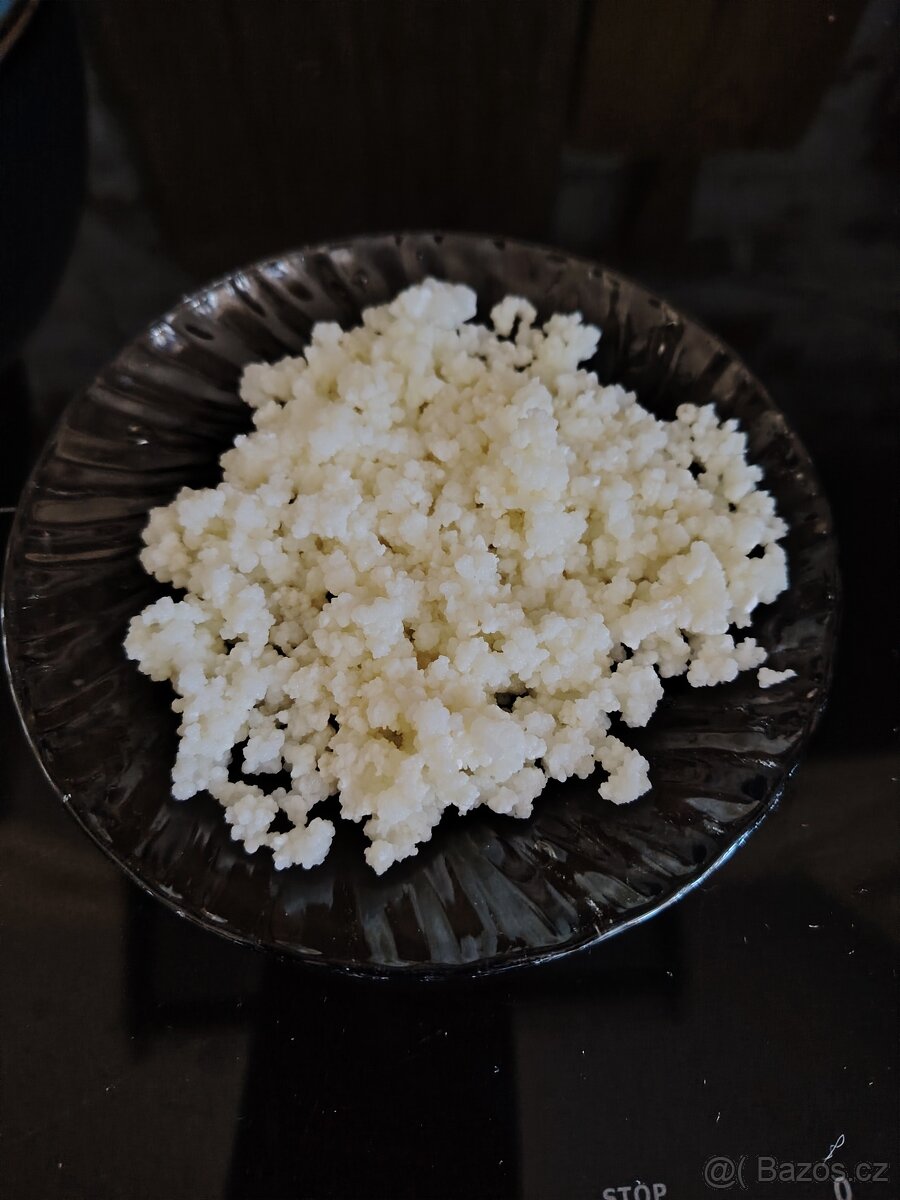 TIBETSKÁ HOUBA