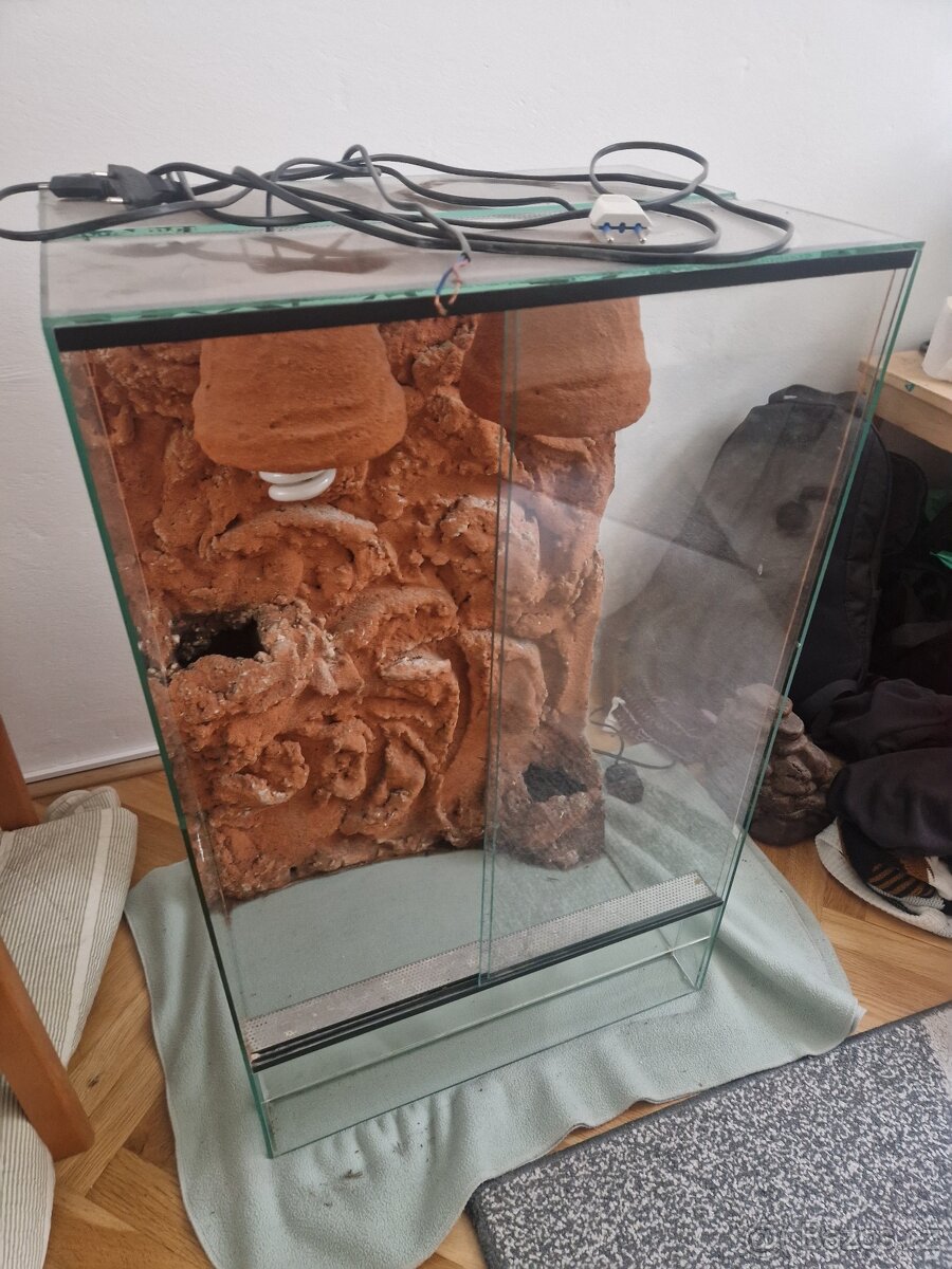 Terárium pro chameleona
