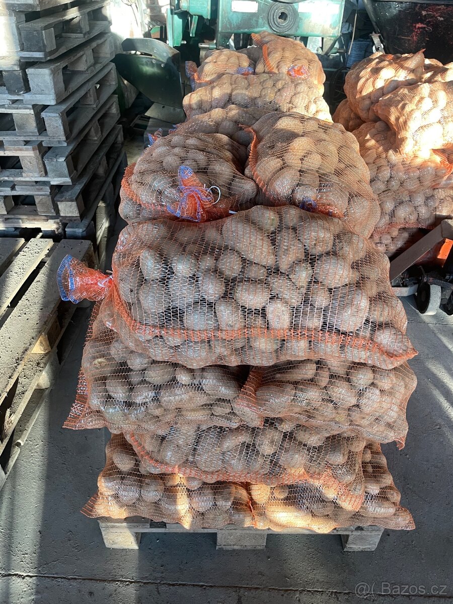 Brambory krmné, pytlované