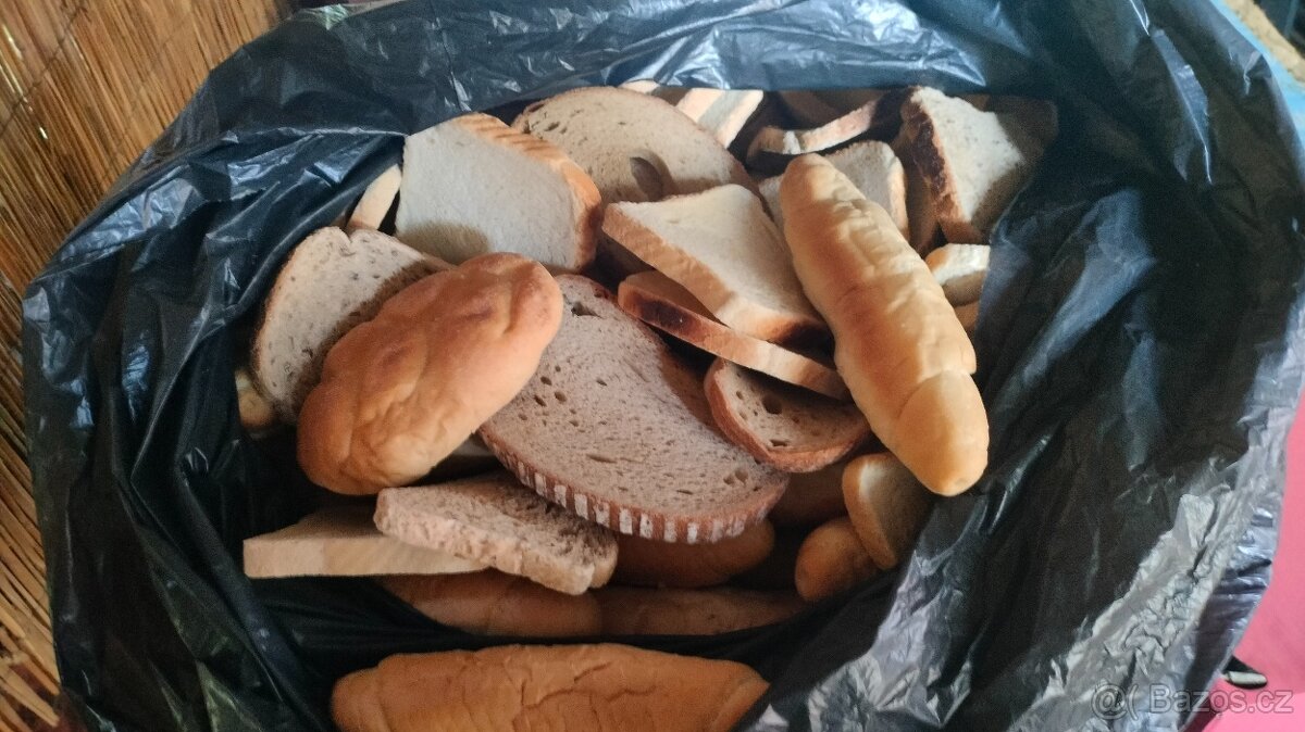 Krmné pečivo , rohlíky, housky, chleba.