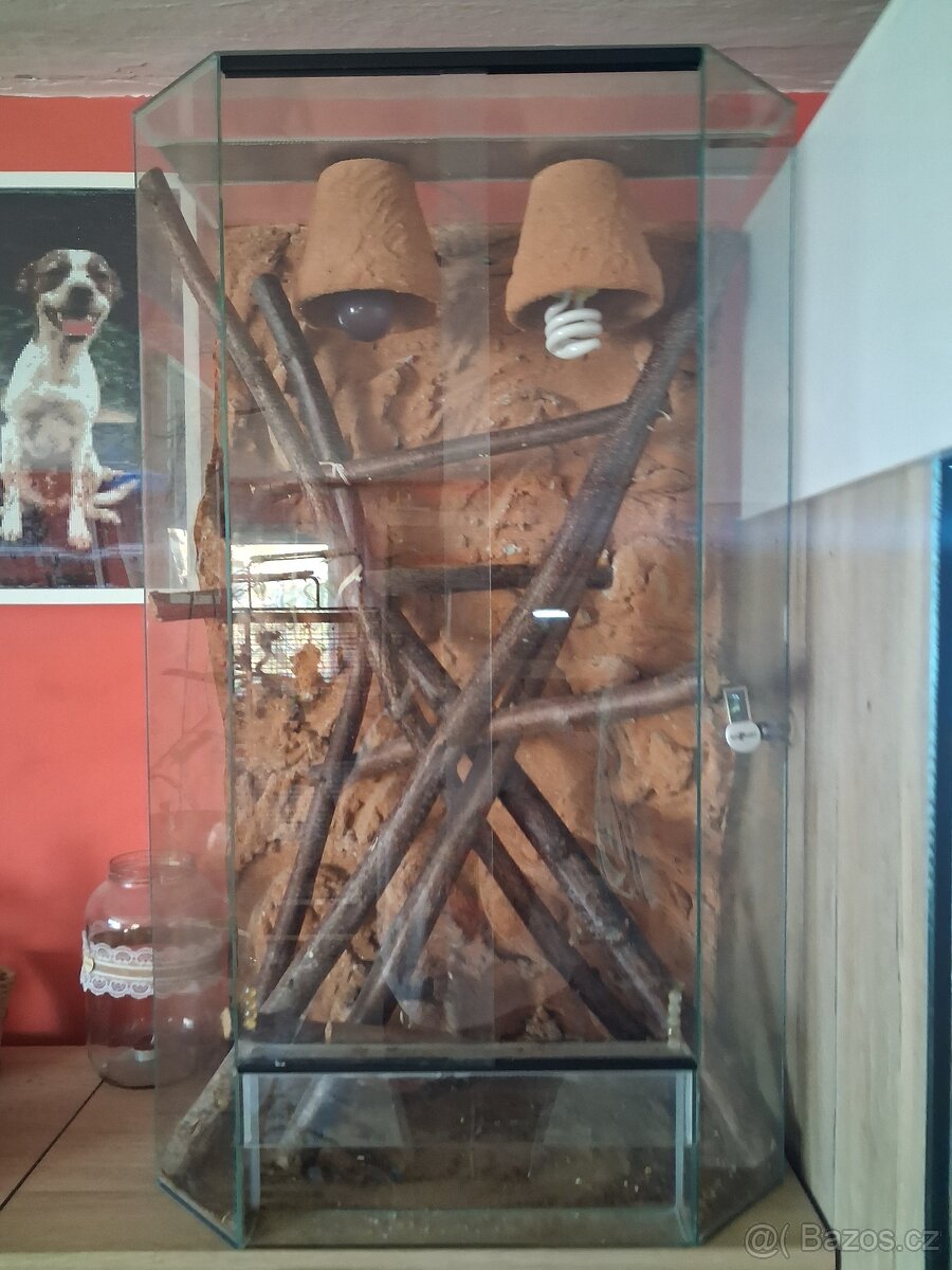 Terarium