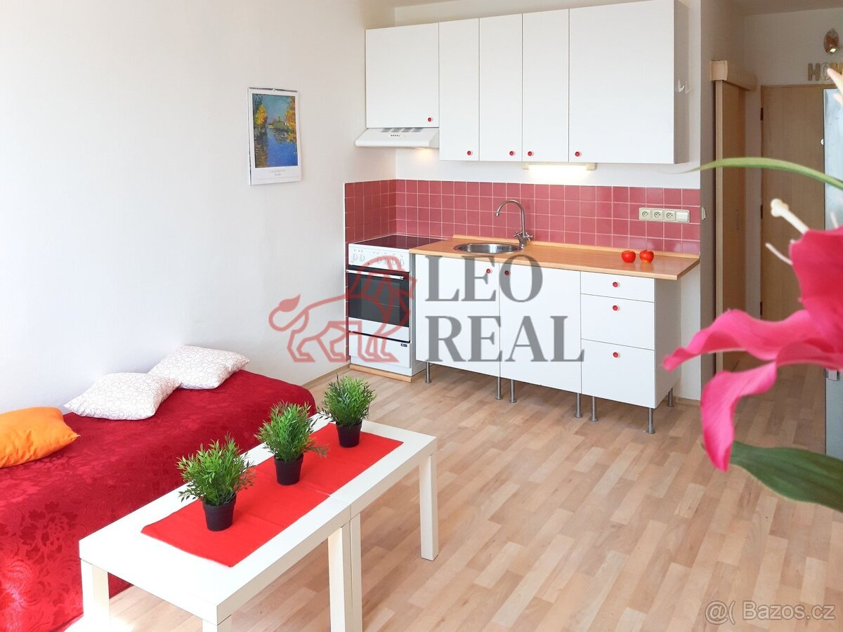 1-room apartment for rent · 22.8 m² · Nový Jičín — 350 €/mo