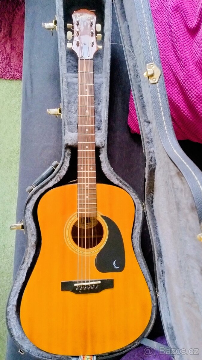 Kytara Epiphone PR200