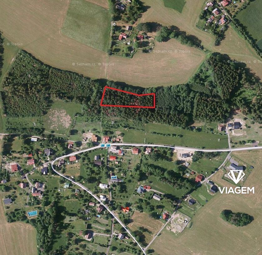 Prodej lesa, 3905 m², Jablonec nad Nisou
