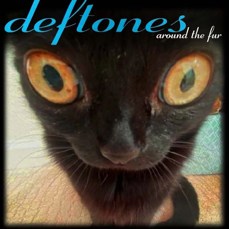DEFTONES