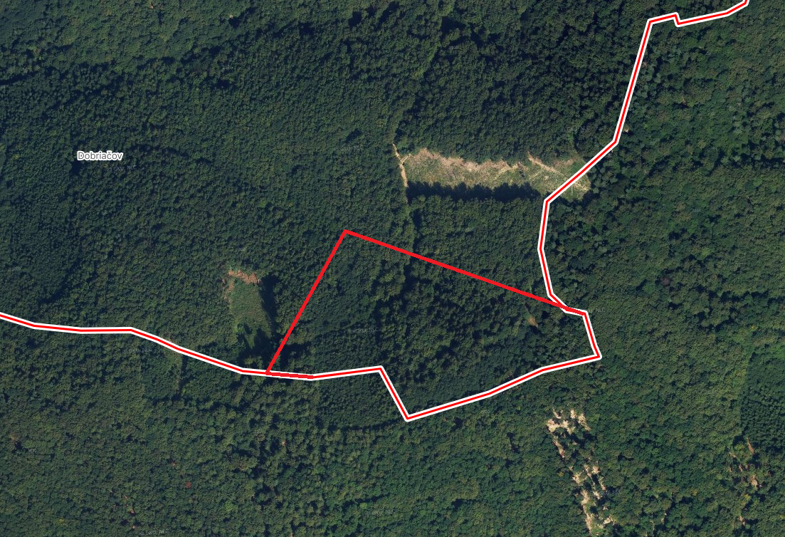 Těžební les u Půchova, 3,8 ha