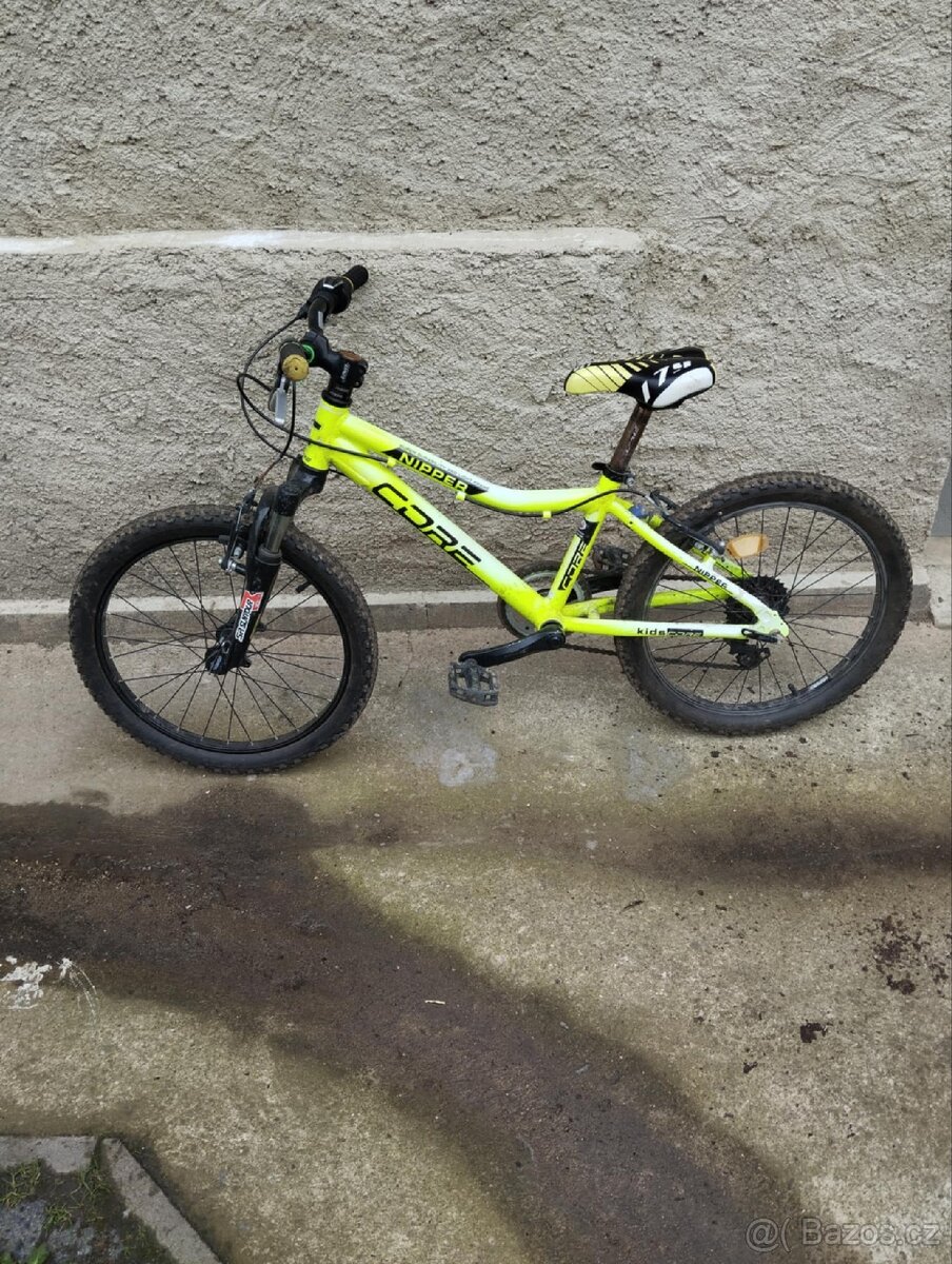 CORE NIPPER