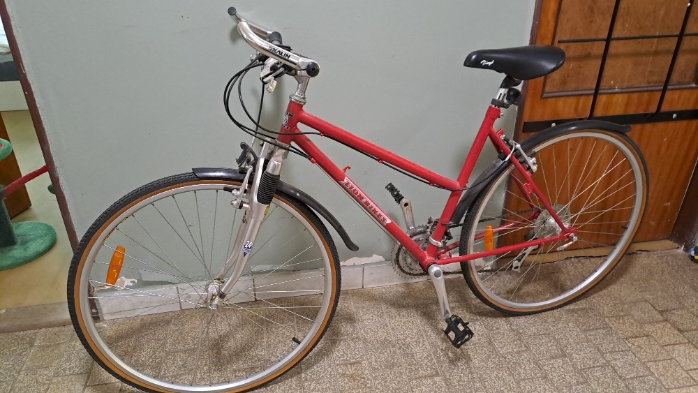 LIONE BIKES DÁMSKÉ KOLO