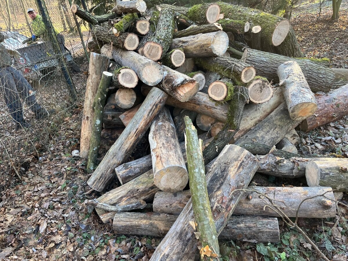 Palivove drevo mekke, tvrde