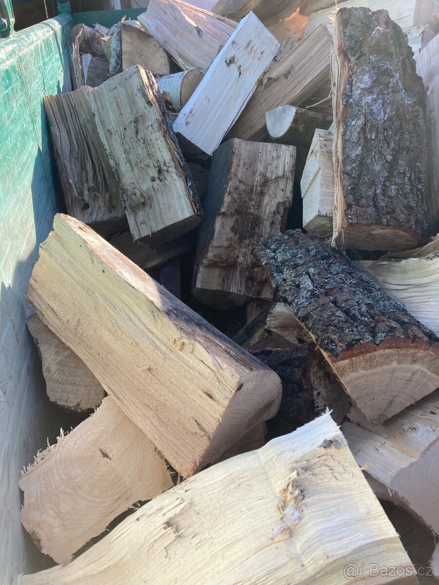 Palivové dřevo - tvrdé