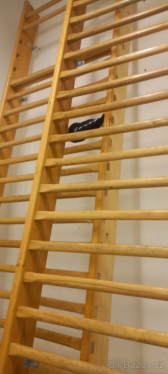 ŽEBŘINY - ribstole