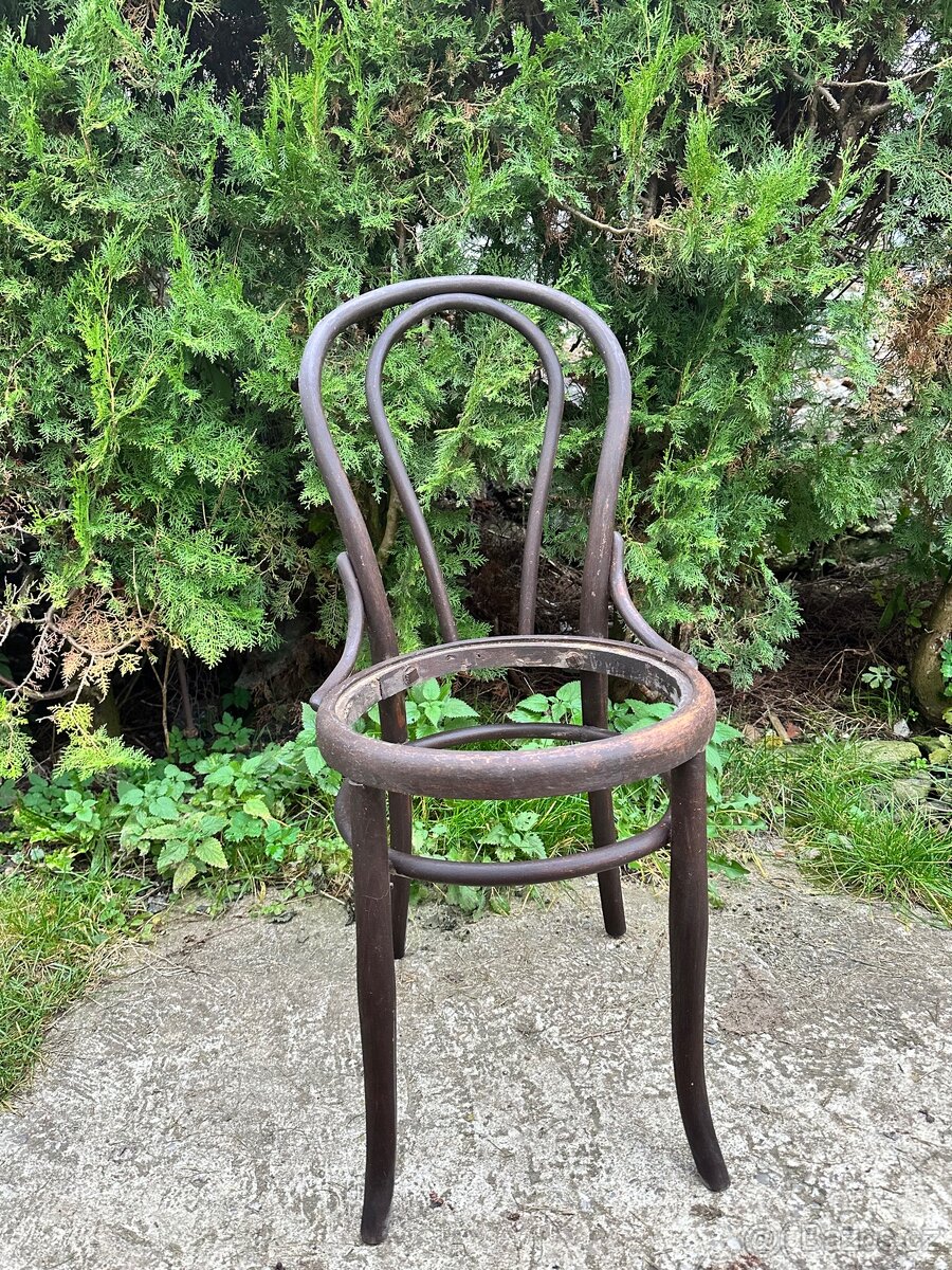 Židle z ohýbaného dřeva - Thonet (2 ks)