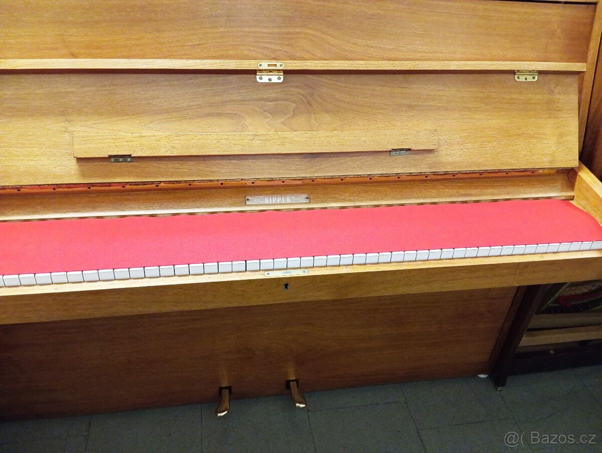 Rippen mod 109-Dovoz po ČR zdarma 24/7