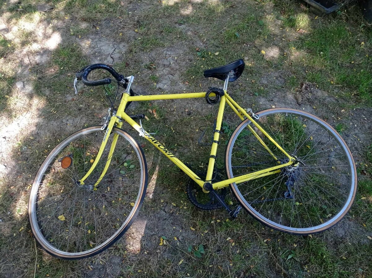 Závodnička Favorit XL