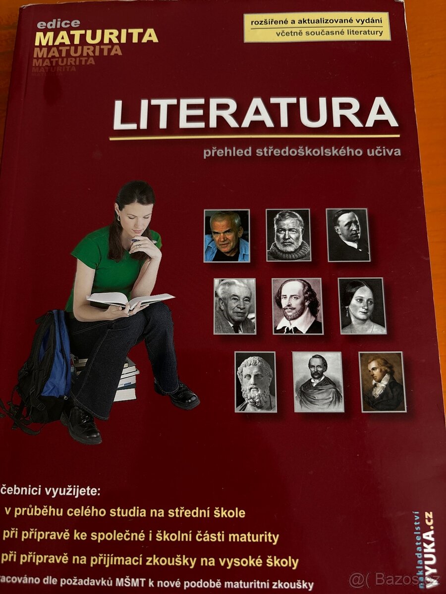 Čj literatura