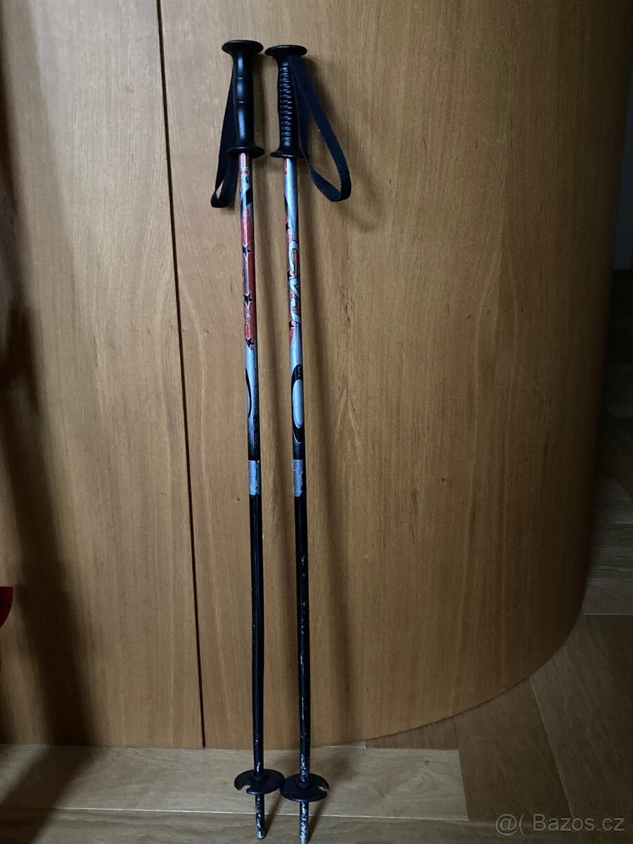 Lyžařské hůlky