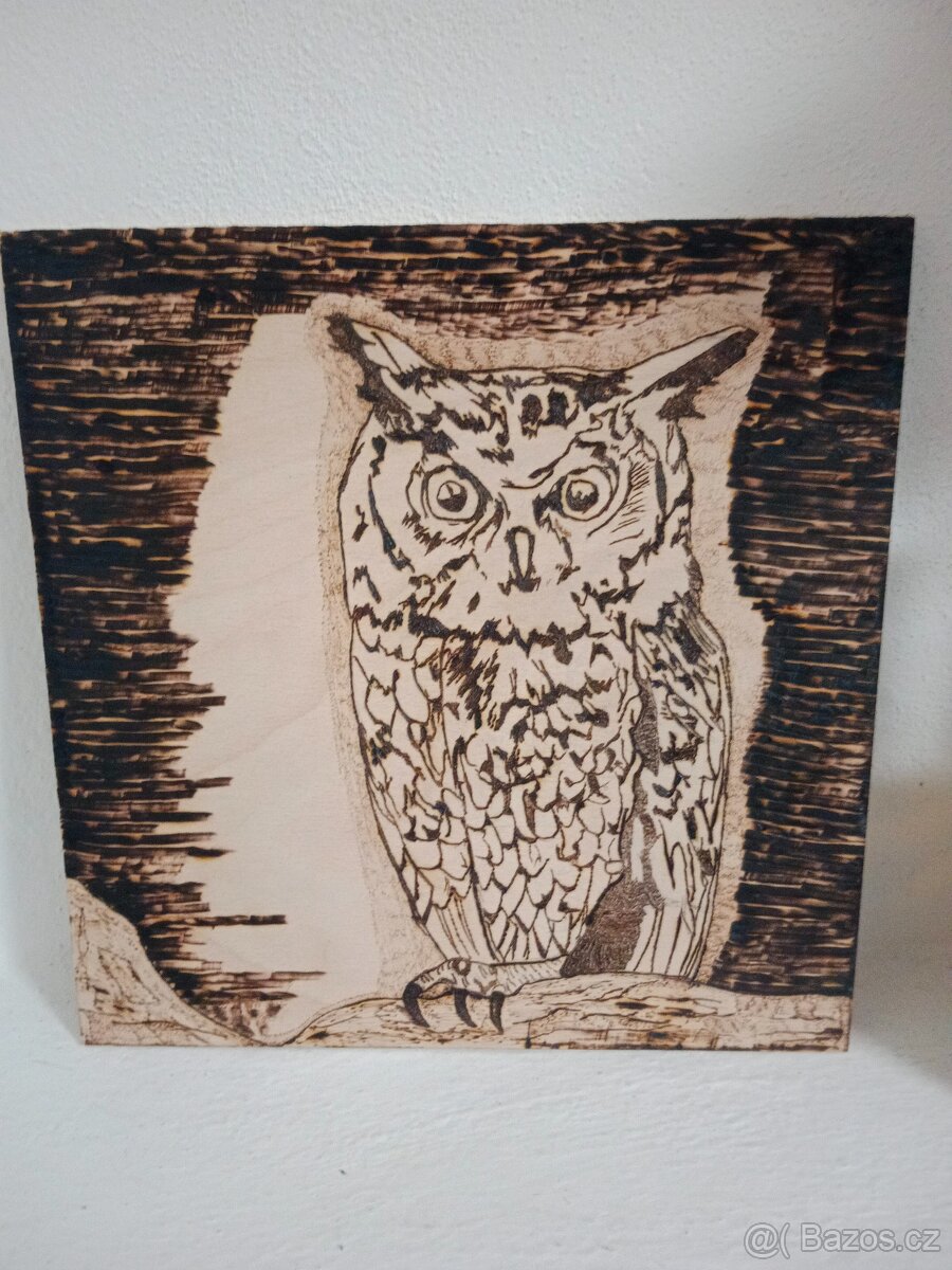 Vypalované obrazy  sova