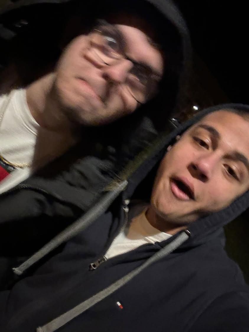 Koně