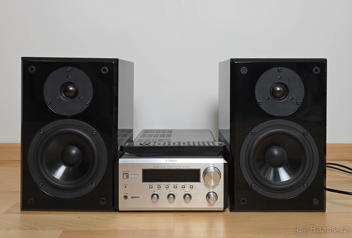 Yamaha RX-E600