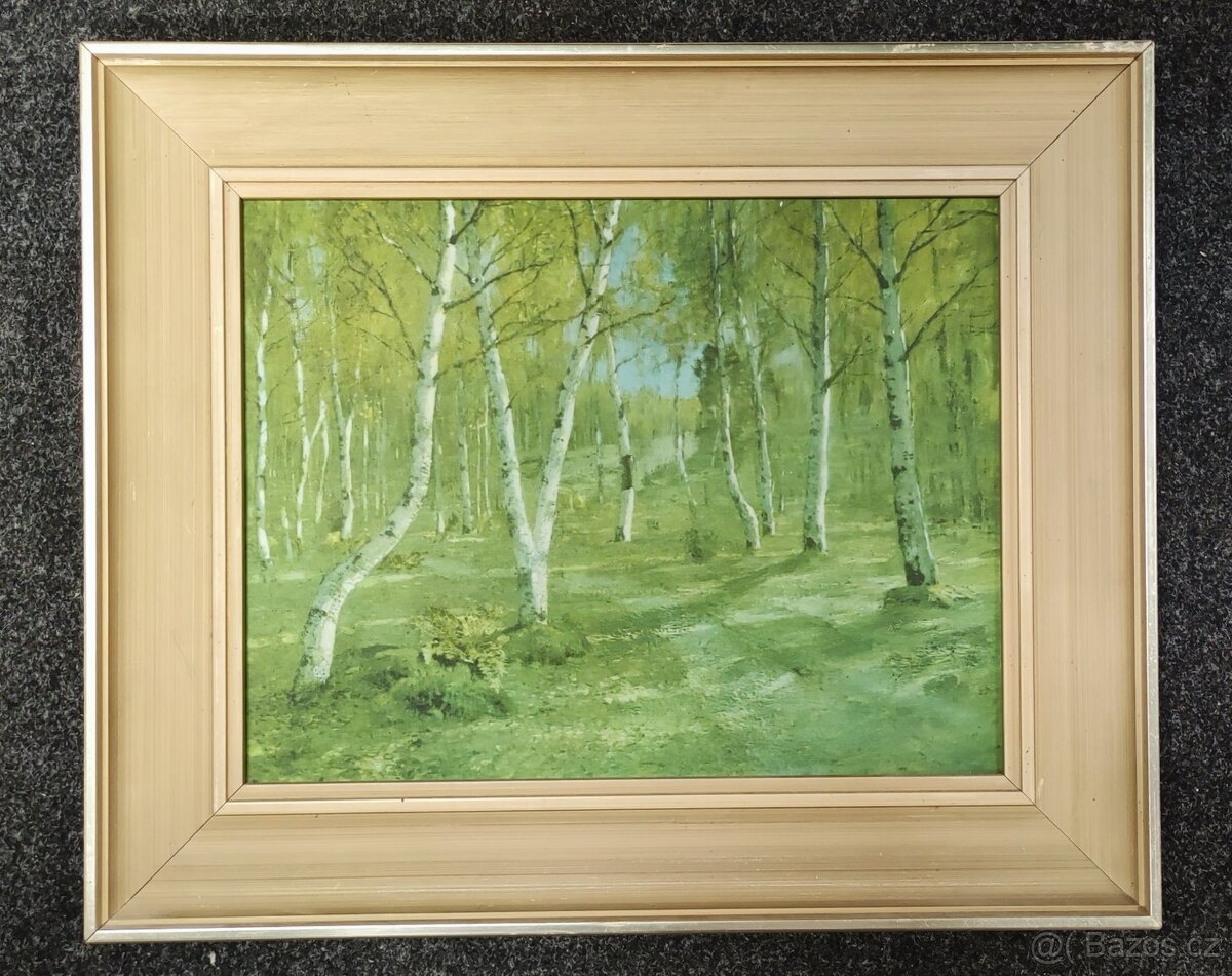 Obraz od Isac Iljič Levitan