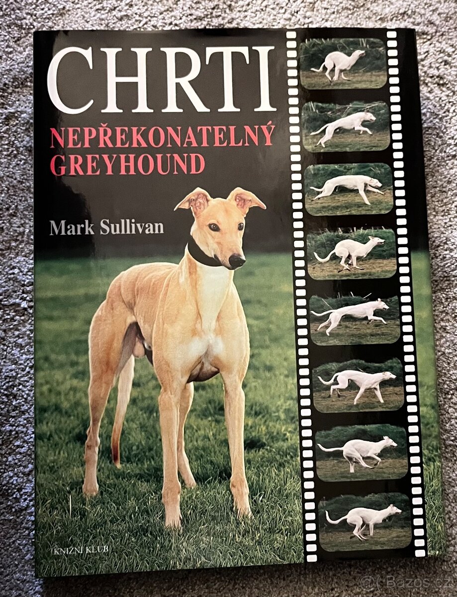 Chrti - Nepřekonatelný Greyhound
