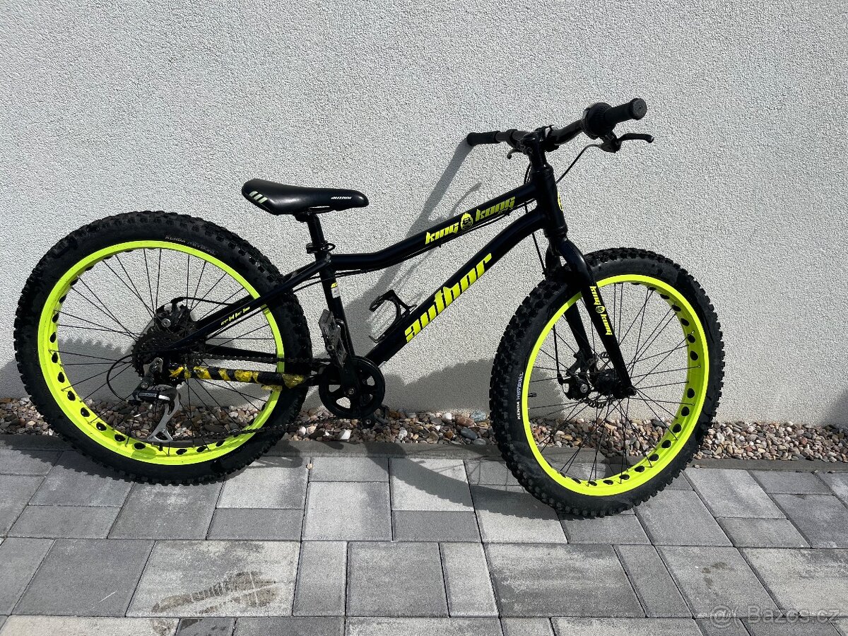 Kolo Author 24”