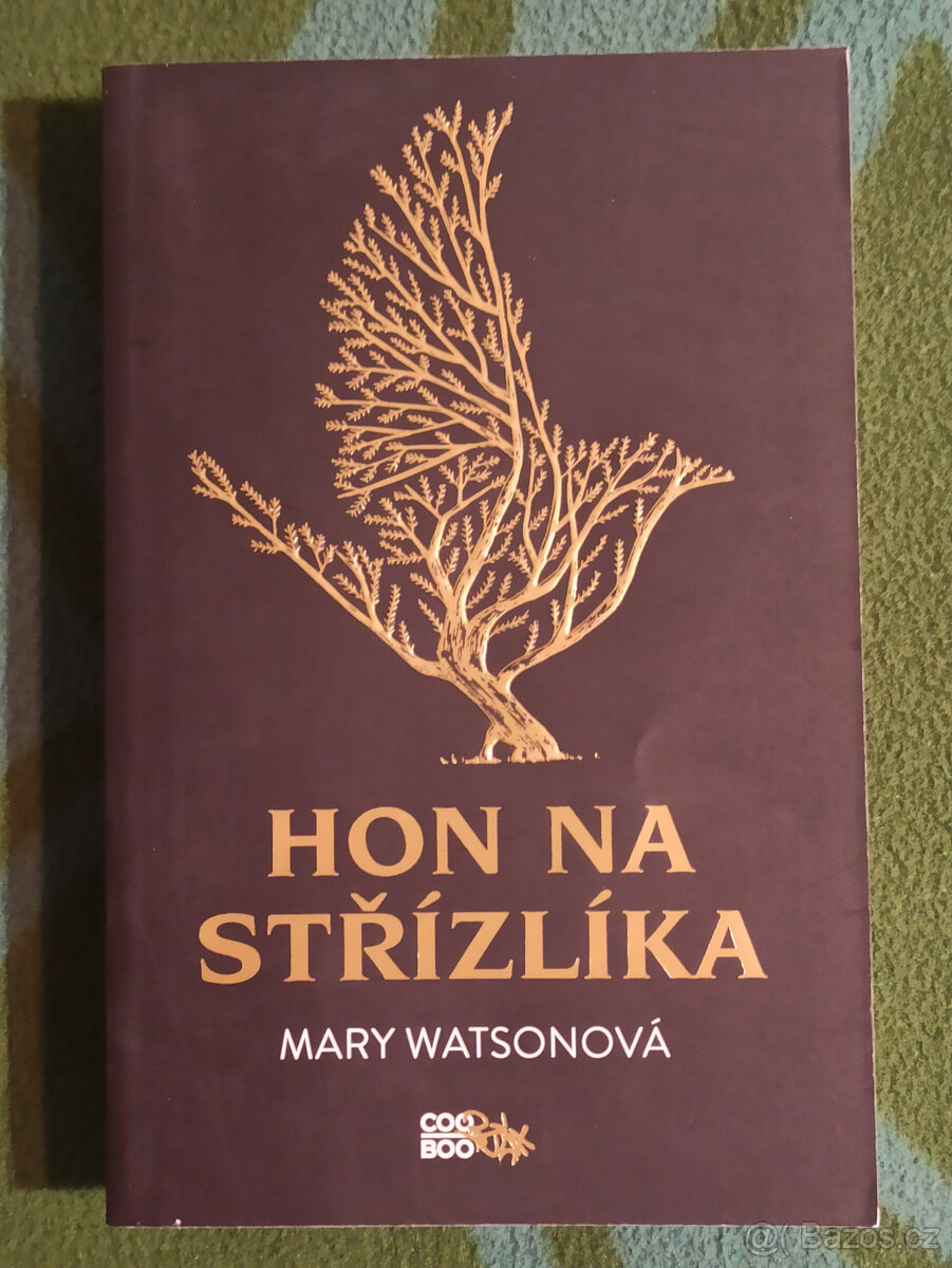 Mary Watsonová - Hon na střízlíka