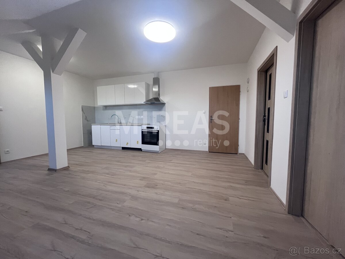 Benátky nad Jizerou, pronájem podkrovního bytu 3 +kk, 61 m2,