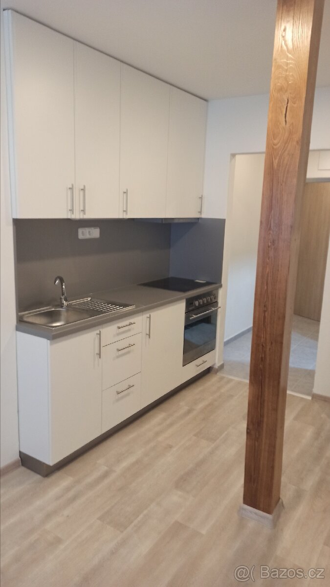 Pronajmu byt 1+kk 35m2 Rokycany - kamenný Újezd
