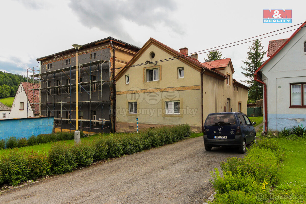 Prodej rodinného domu 7+1, 1325 m2, Janov