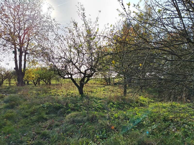 Stavební pozemek 907 m2 v obci Loukovec, okr. Mladá Boleslav