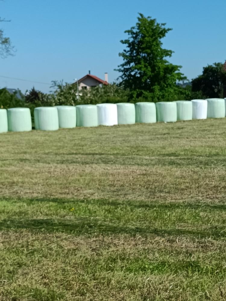PRODÁM JETELOTRAVNÍ SENÁŽ.