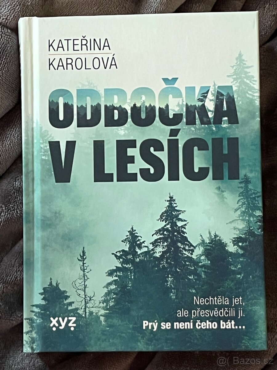 Odbočka v lesích