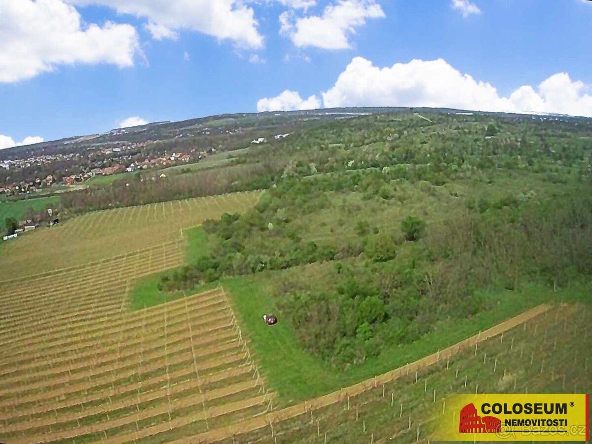 Znojmo – Oblekovice, vinice, trvalý travní porost, lesní poz